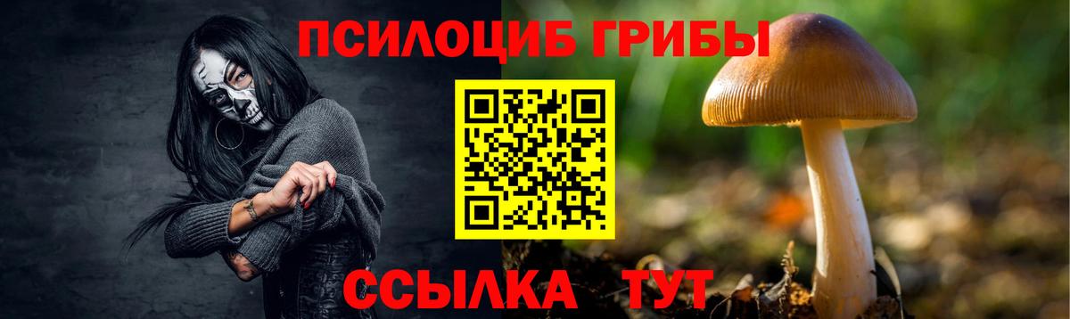 Галлюциногенные грибы MAGIC MUSHROOMS  Вход с VPN  купить наркотик  Псилоцибиновые грибы Psilocybe  Удомля 